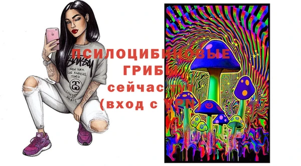 дурь Нягань